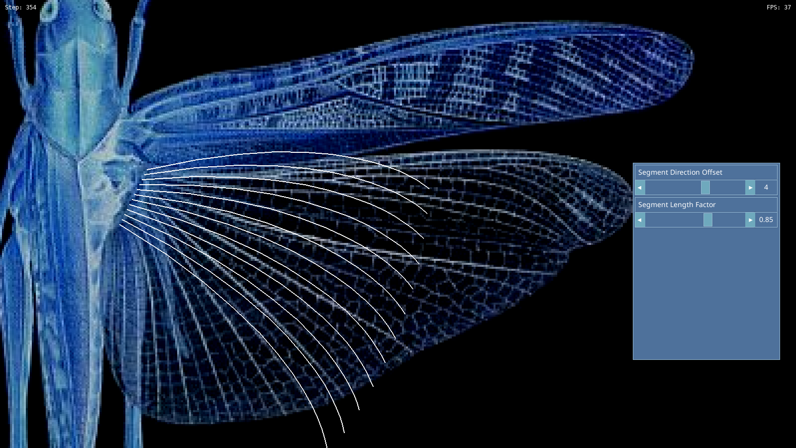 orthoptera_000