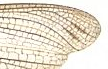 Pasted image 20241007192914