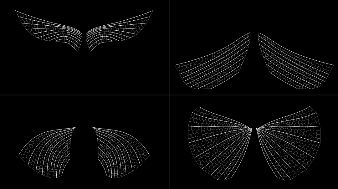 Four pairs of procedurally generated insect wings
